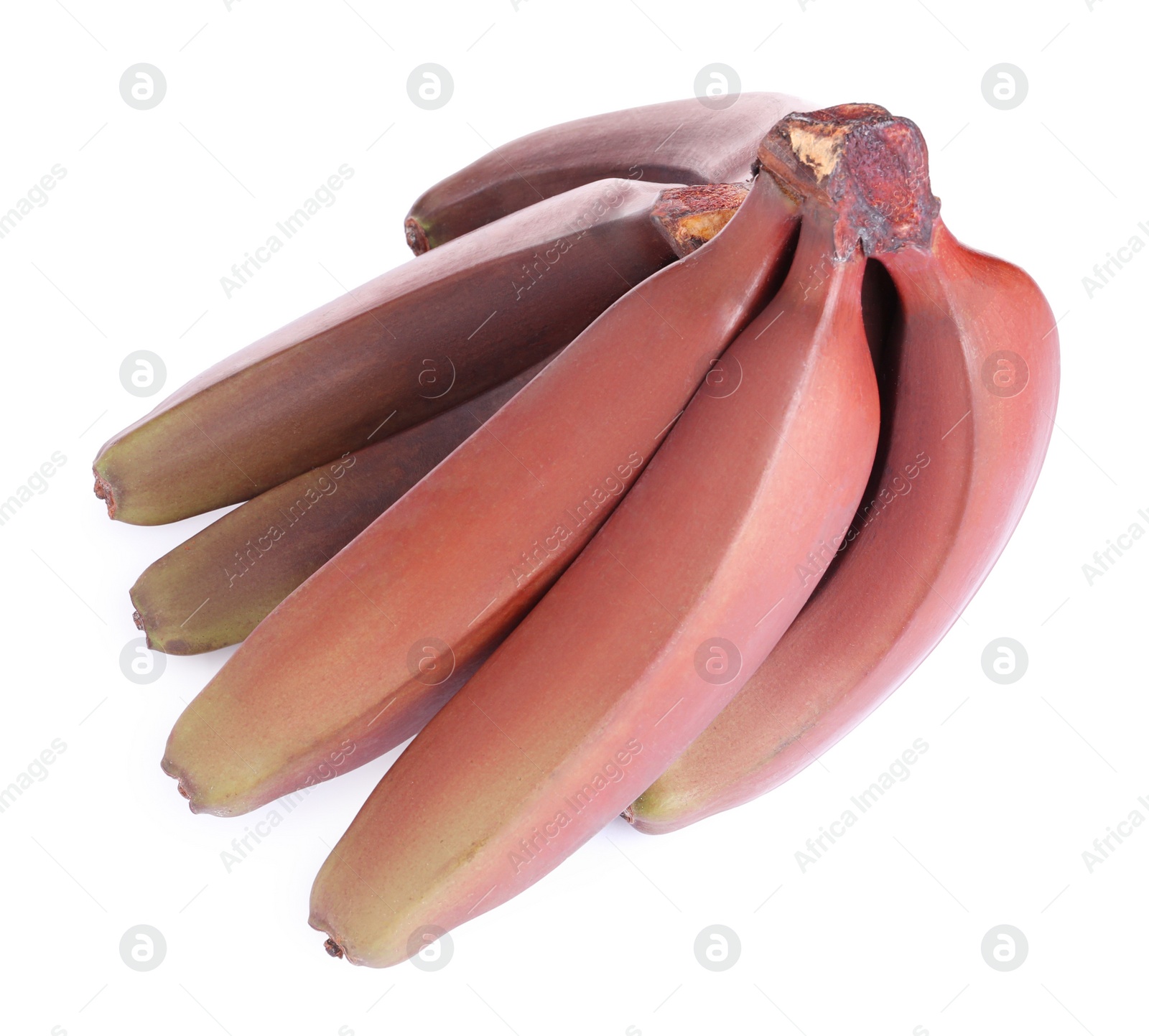 Photo of Delicious red baby bananas on white background