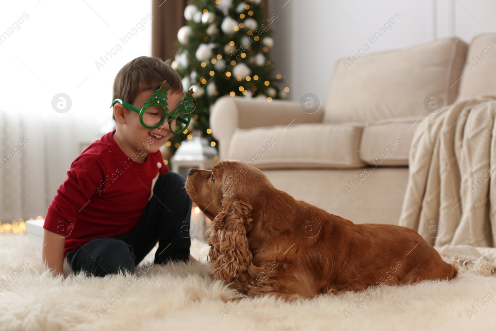 Photo of Cute little boy with English Cocker Spaniel in room decorated for Christmas