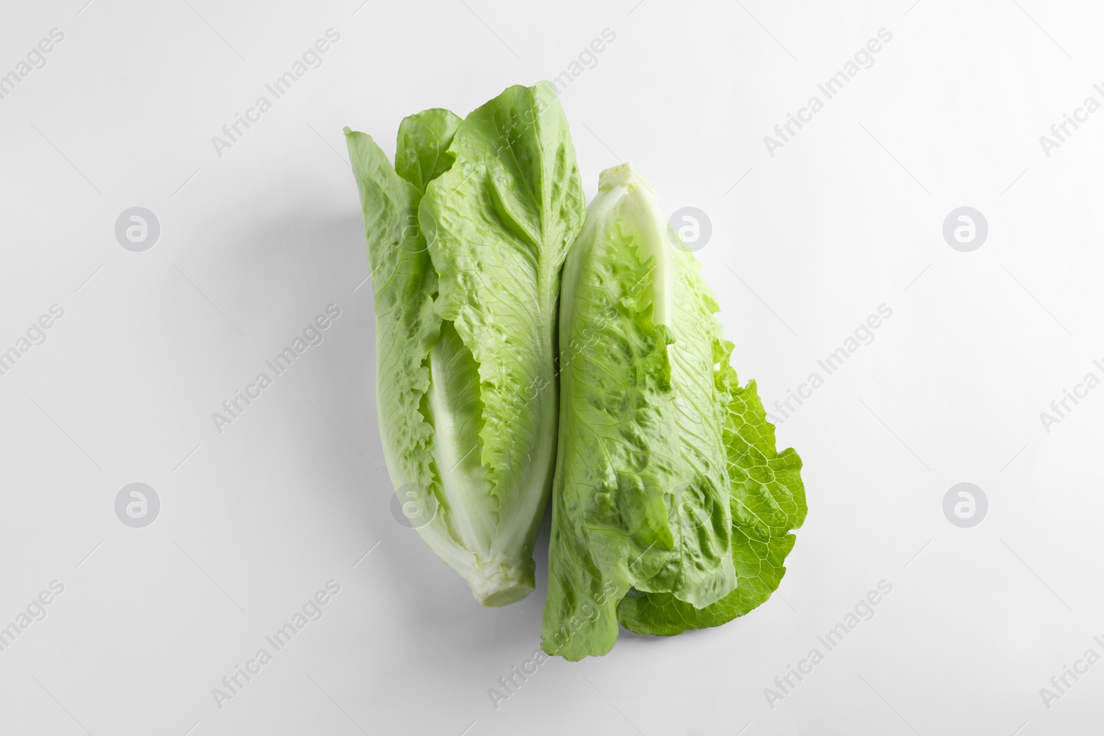 Photo of Fresh green romaine lettuces on white background, top view