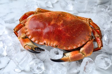 Delicious boiled crab and ice on white marble table, closeup