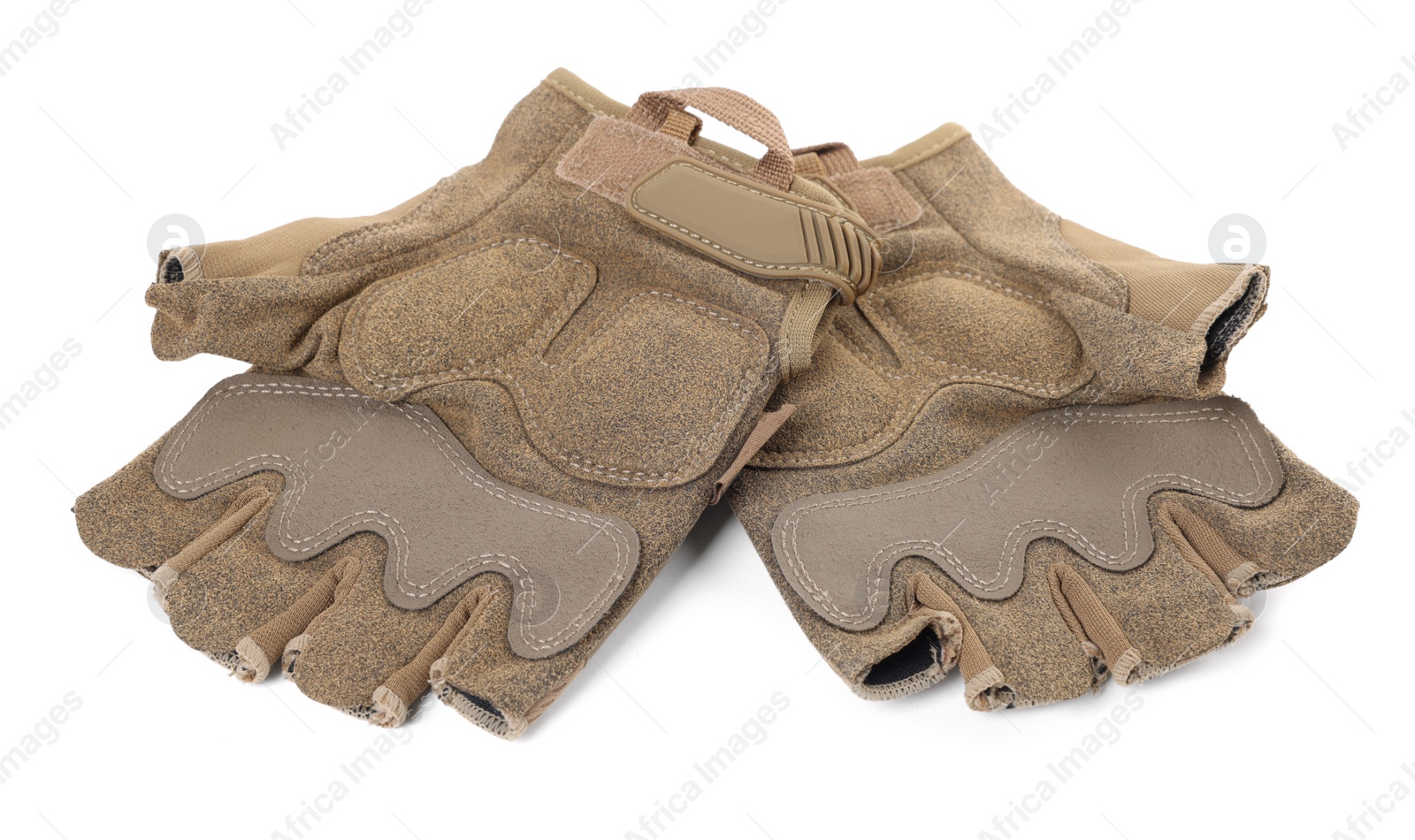 Photo of Tactical gloves on white background. Military training equipment