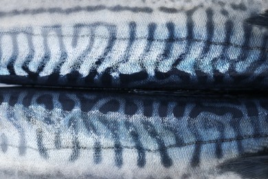 Texture of raw mackerel as background, closeup