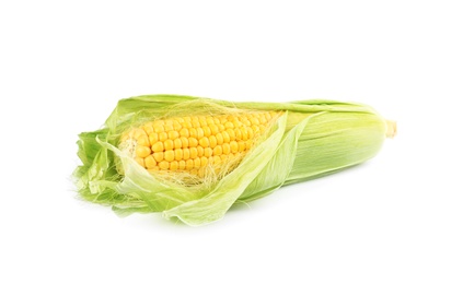 Photo of Ripe raw corn cob with husk isolated on white