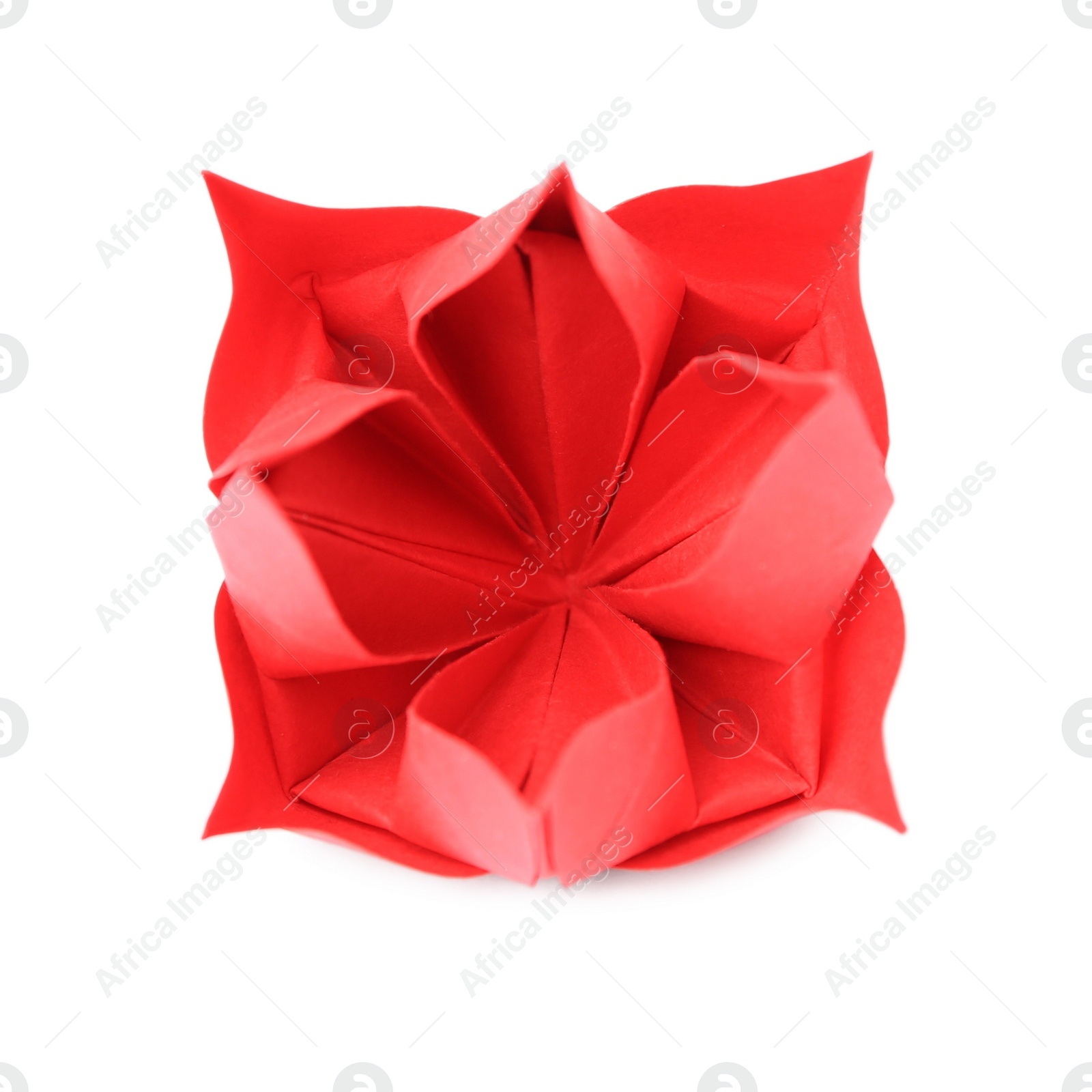 Photo of Origami art. Handmade red paper flower on white background