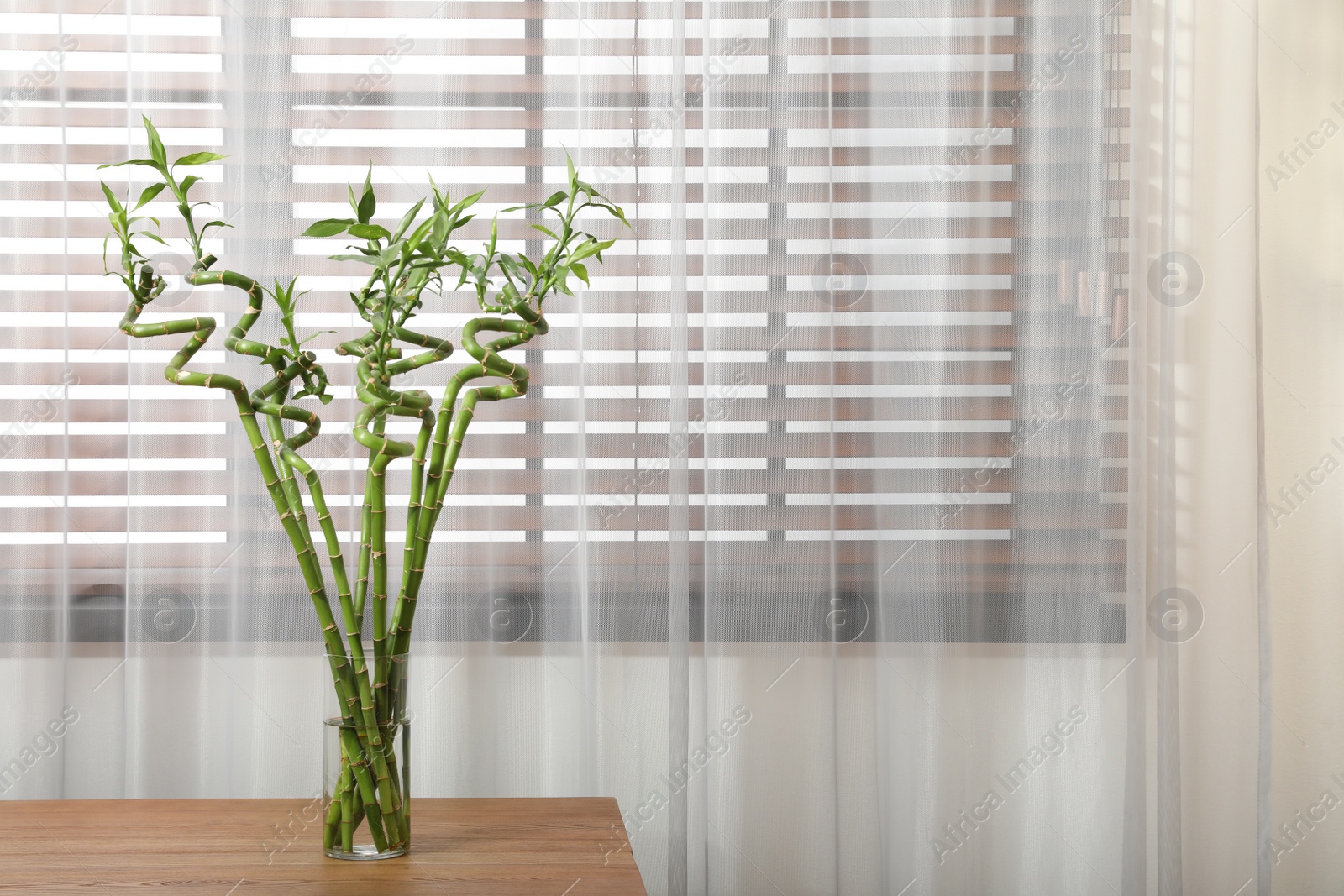 Photo of Vase with bamboo stems on wooden table indoors, space for text