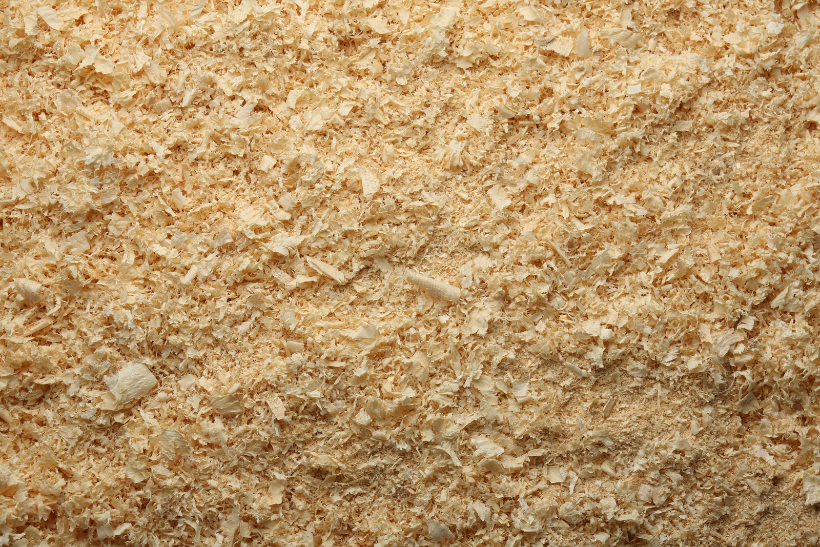 Photo of Dry natural sawdust as background, top view