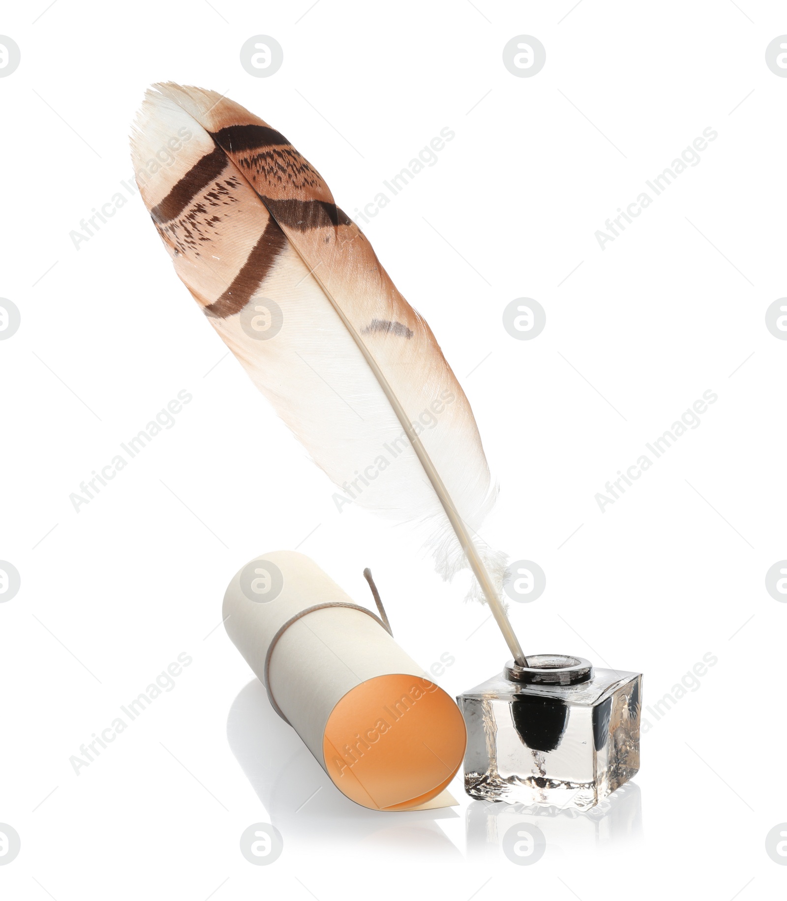 Photo of Feather pen with inkwell and paper scroll on white background