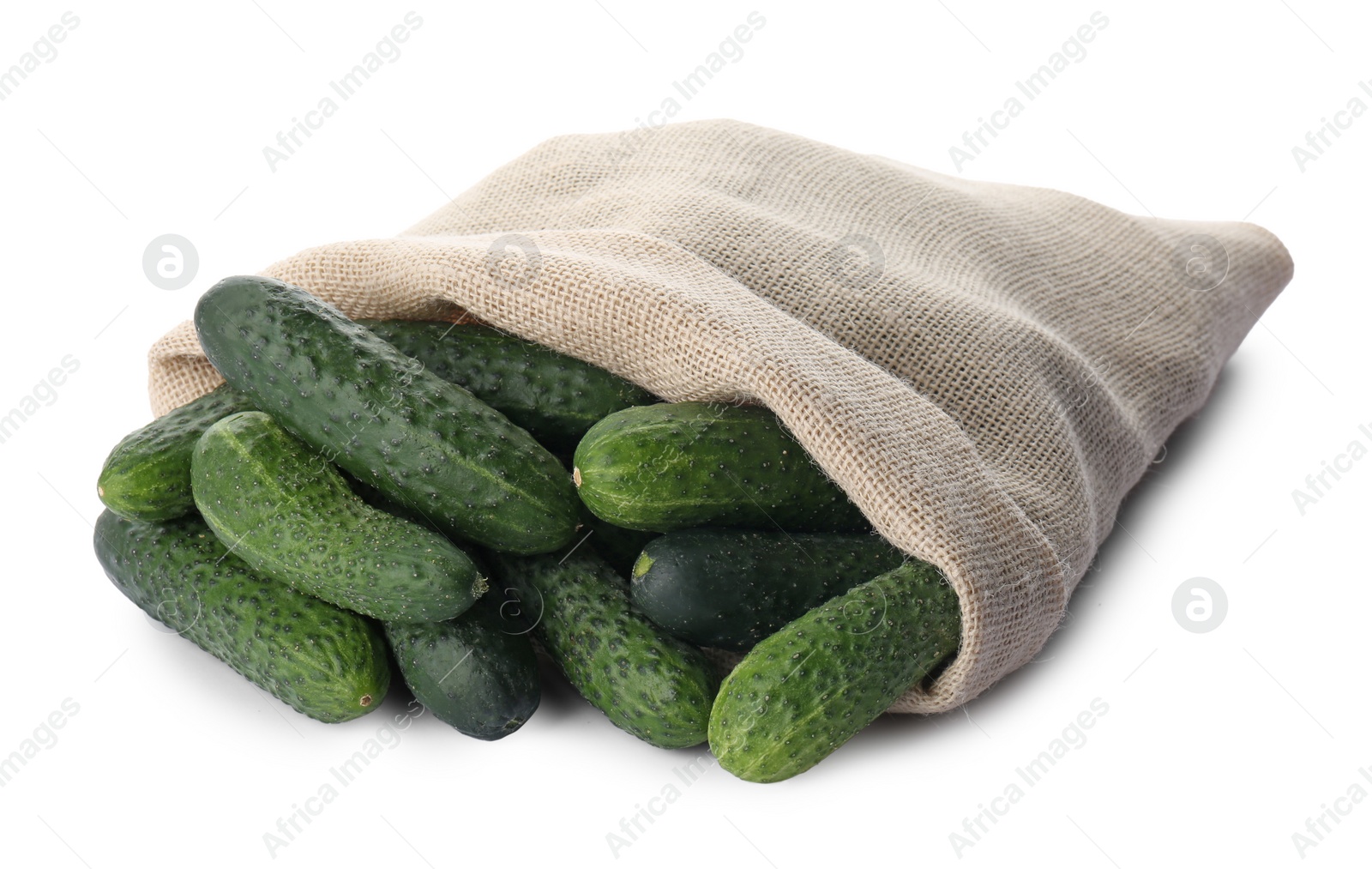 Photo of Fresh ripe cucumbers in sack on white background