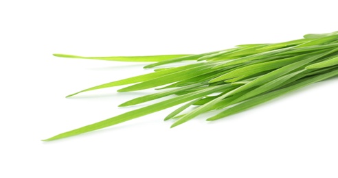 Green organic wheat grass on white background