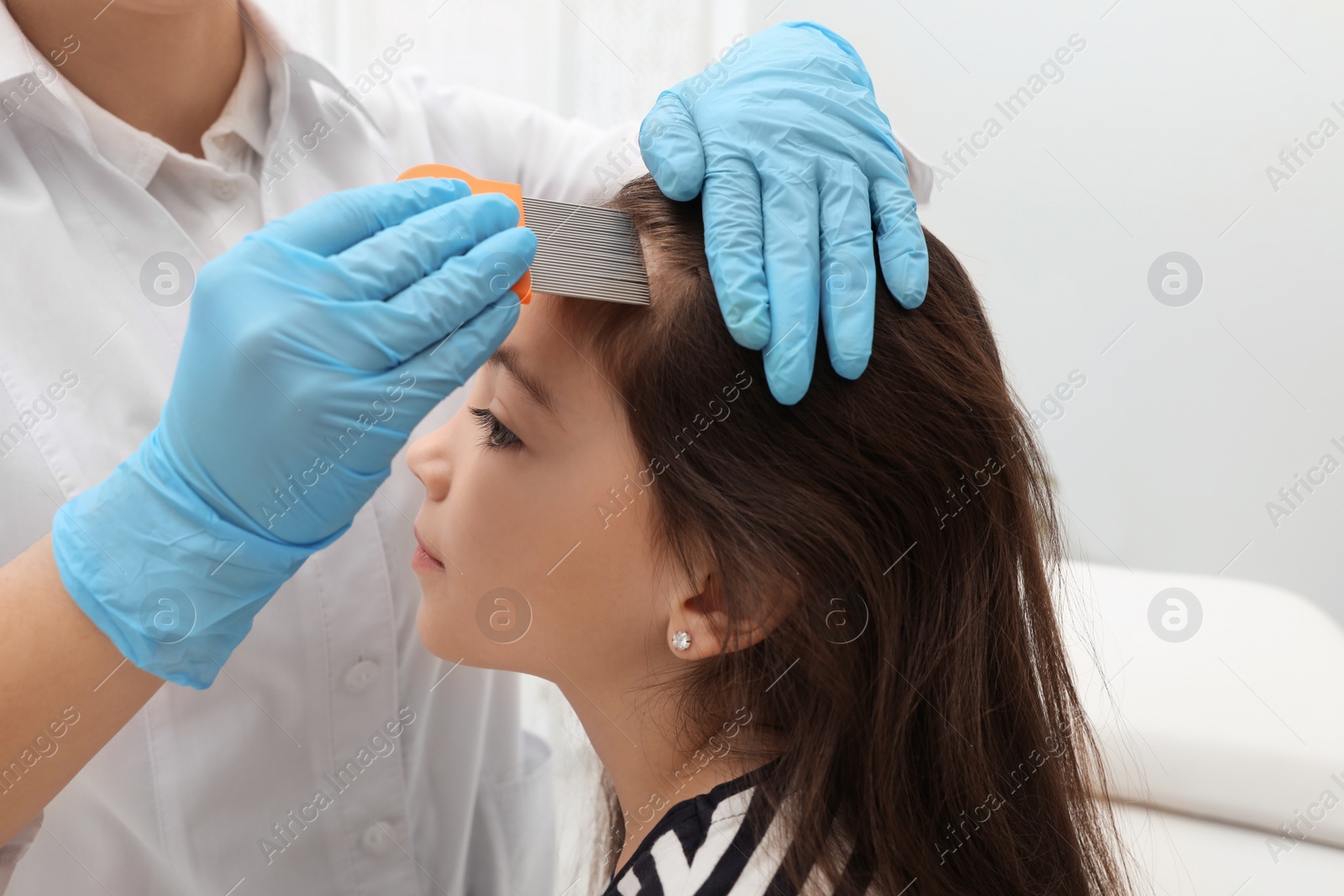 Photo of Doctor using nit comb on little girl's hair indoors. Anti lice treatment