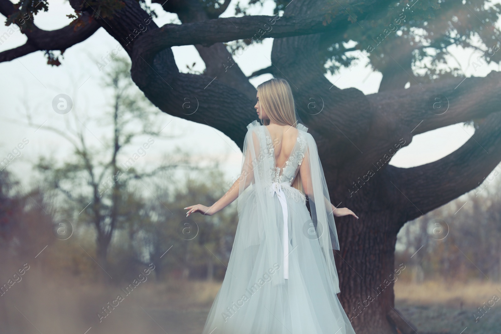 Photo of Beautiful girl wearing fairy dress near tall tree outdoors