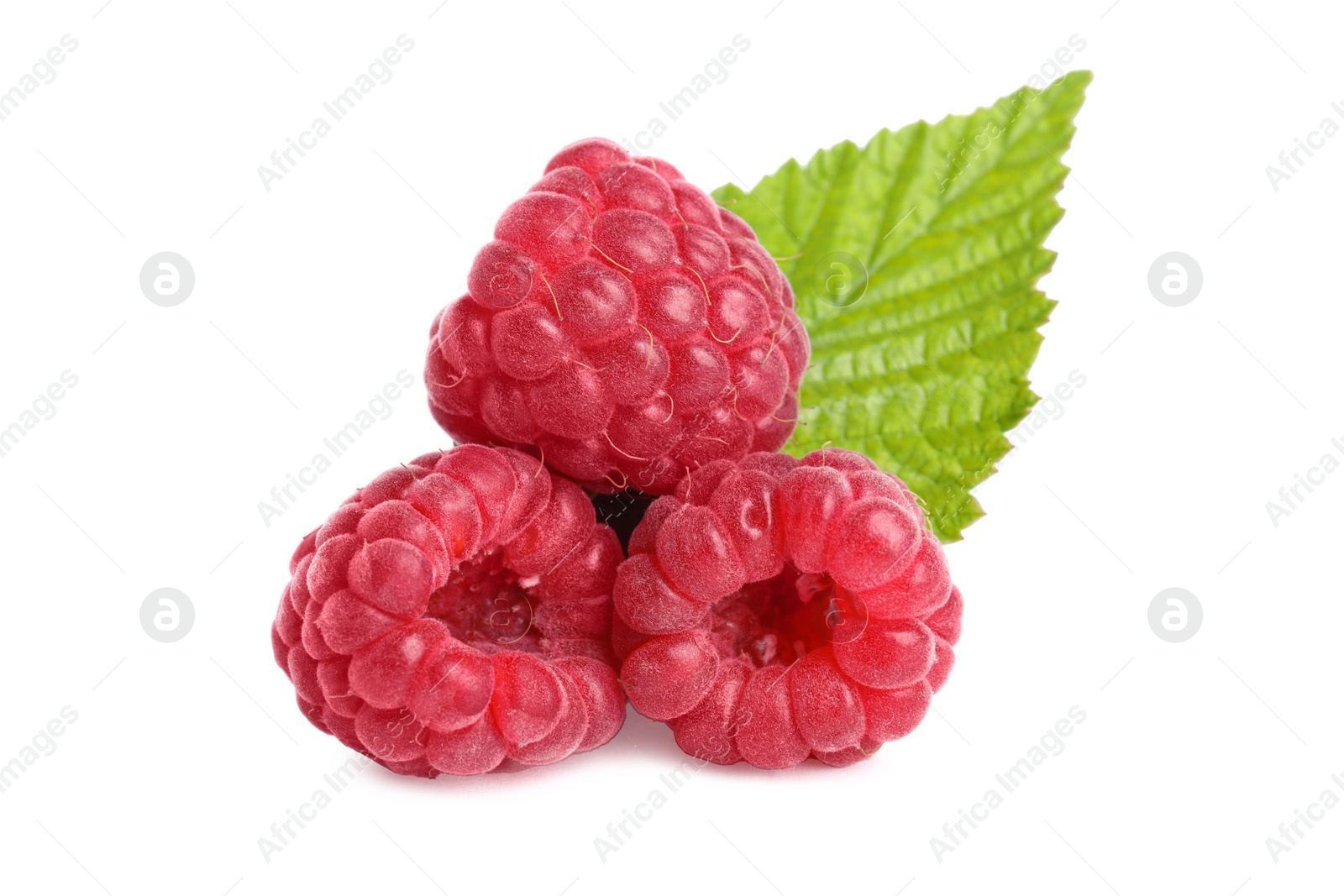 Photo of Fresh ripe raspberries with green leaf on white background