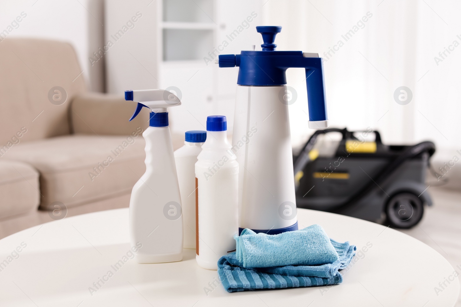 Photo of Set of professional cleaning supplies on table indoors