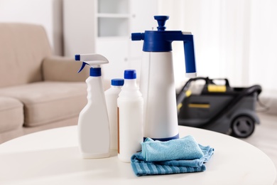 Photo of Set of professional cleaning supplies on table indoors