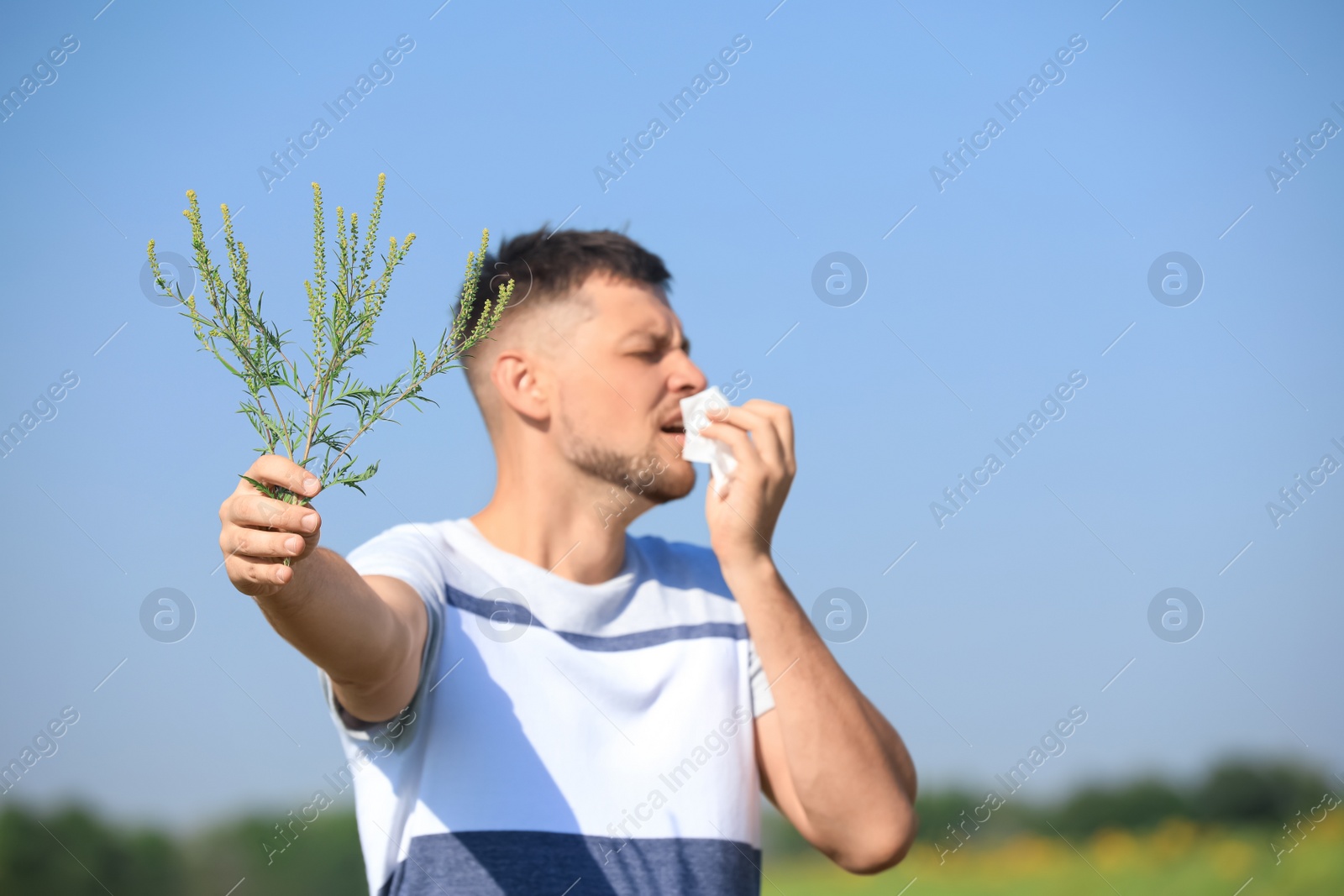 Photo of Man with ragweed branch suffering from allergy outdoors, focus on hand