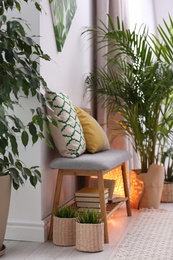 Photo of Stylish modern room interior with exotic houseplants