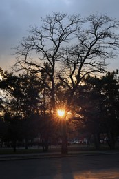 Photo of Beautiful view of autumn park at sunset