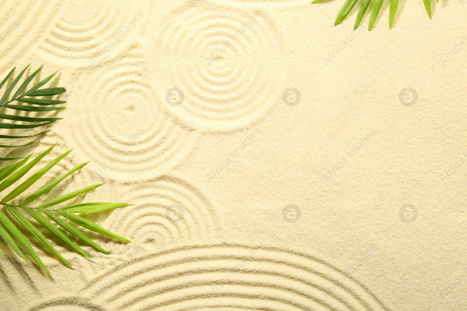 Photo of Zen rock garden. Circle patterns and green leaves on beige sand, top view