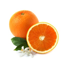 Photo of Ripe oranges, leaves and flowers on white background. Citrus fruit