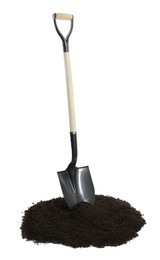 Photo of Shovel and pile of soil isolated on white