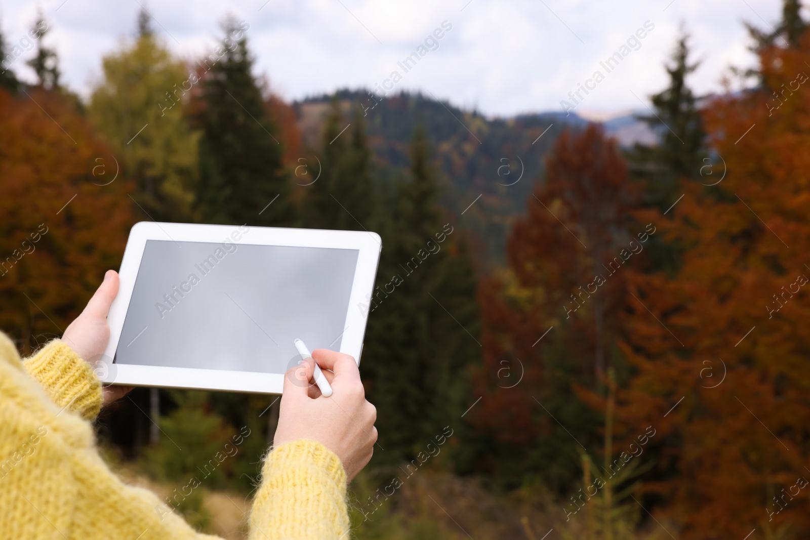 Photo of Woman drawing with graphic tablet in mountains on autumn day, closeup