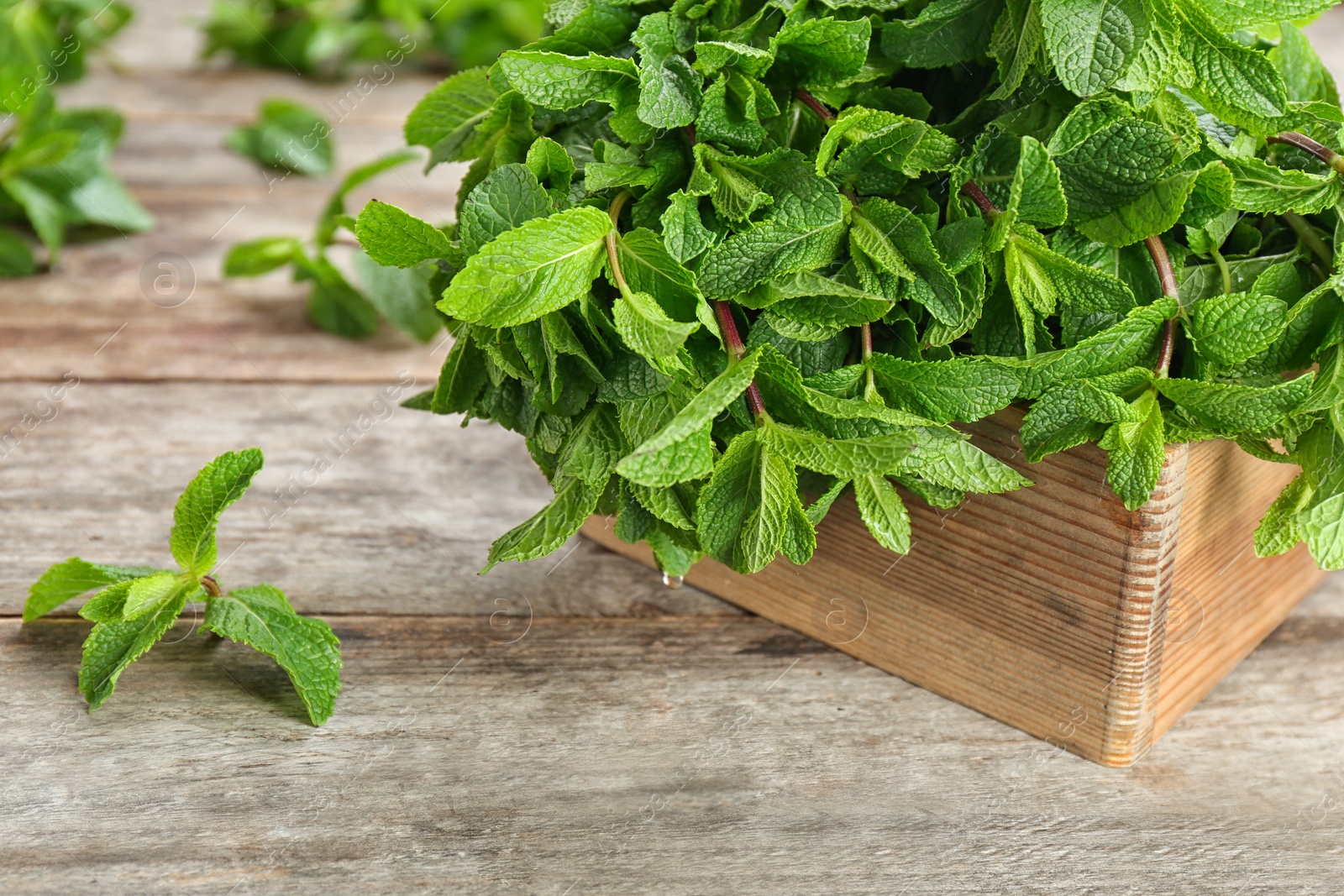 Photo of Wooden crate with fresh mint on table