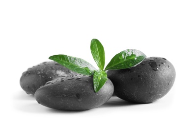 Photo of Spa stones and green leaves with water drops on white background