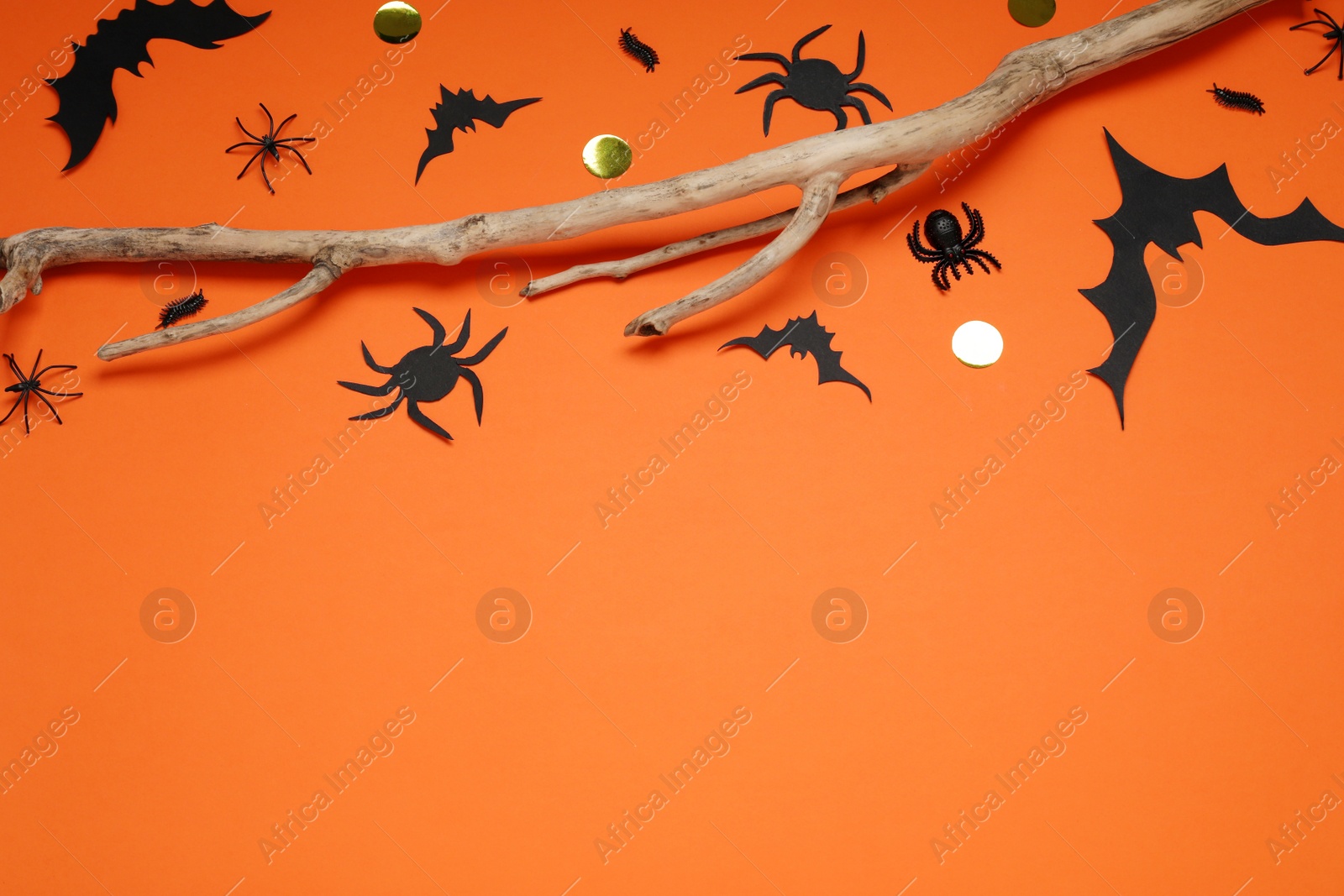 Photo of Flat lay composition with paper bats, spiders and wooden branch on orange background, space for text. Halloween decor