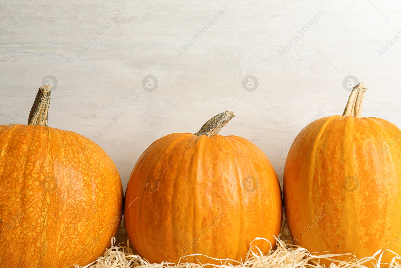 Photo of Orange pumpkins on table against light background. Autumn holidays