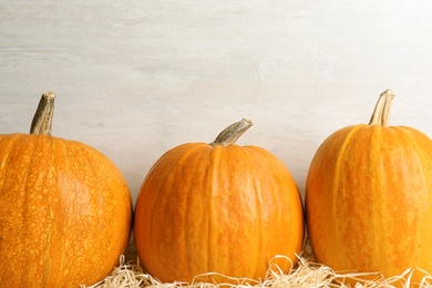 Orange pumpkins on table against light background. Autumn holidays