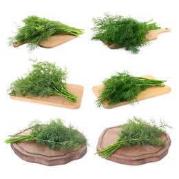 Image of Set with bunches of fresh dill isolated on white