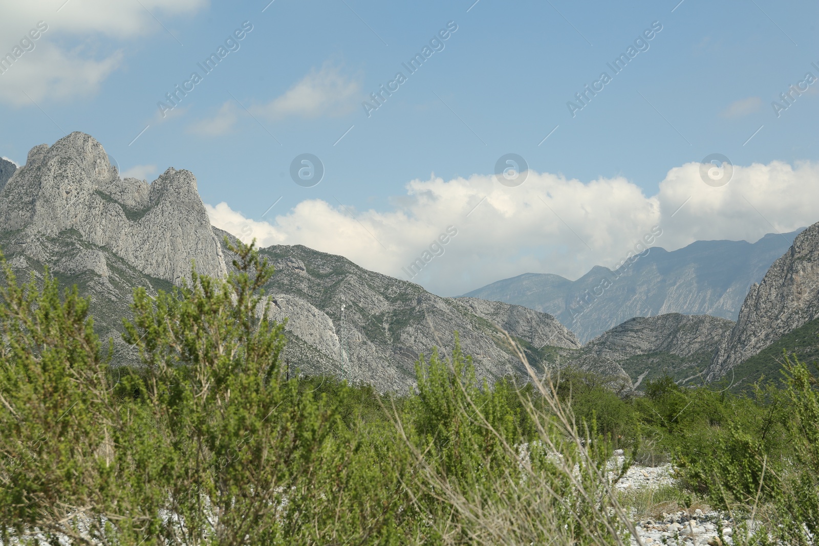 Photo of Picturesque view of beautiful mountains and plants under cloudy sky