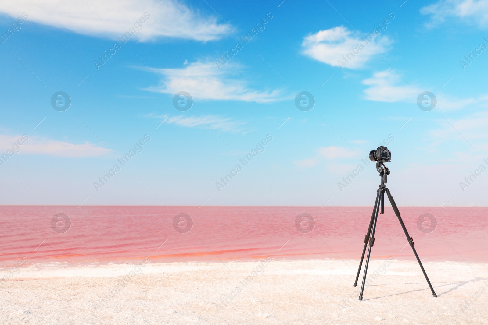 Photo of Professional camera on tripod near pink lake