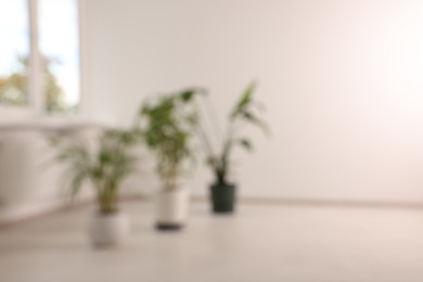 Blurred view of renovated room with potted houseplants and windows