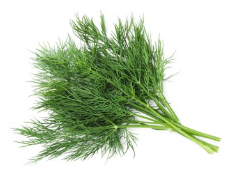 Photo of Bunch of fresh dill isolated on white, top view