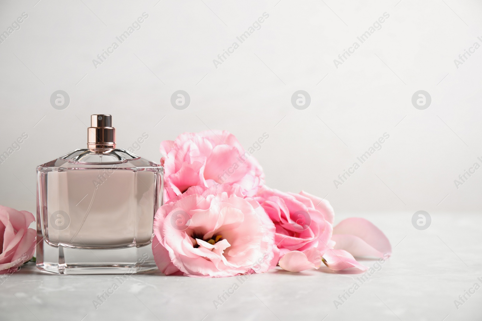 Photo of Bottle of perfume with fresh flowers on light background, space for text