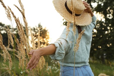 Photo of Woman walking through meadow and touching reed grass outdoors, back view