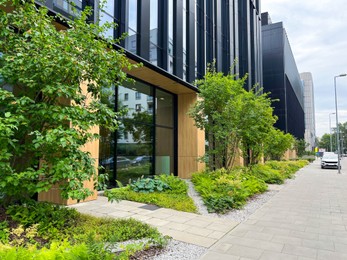 Photo of City street with beautiful buildings, pavement and green plants