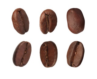 Image of Set with aromatic roasted coffee beans on white background