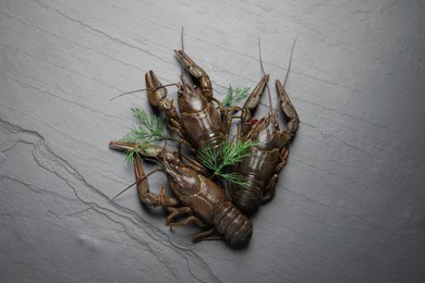 Photo of Fresh raw crayfishes with dill on black table, flat lay