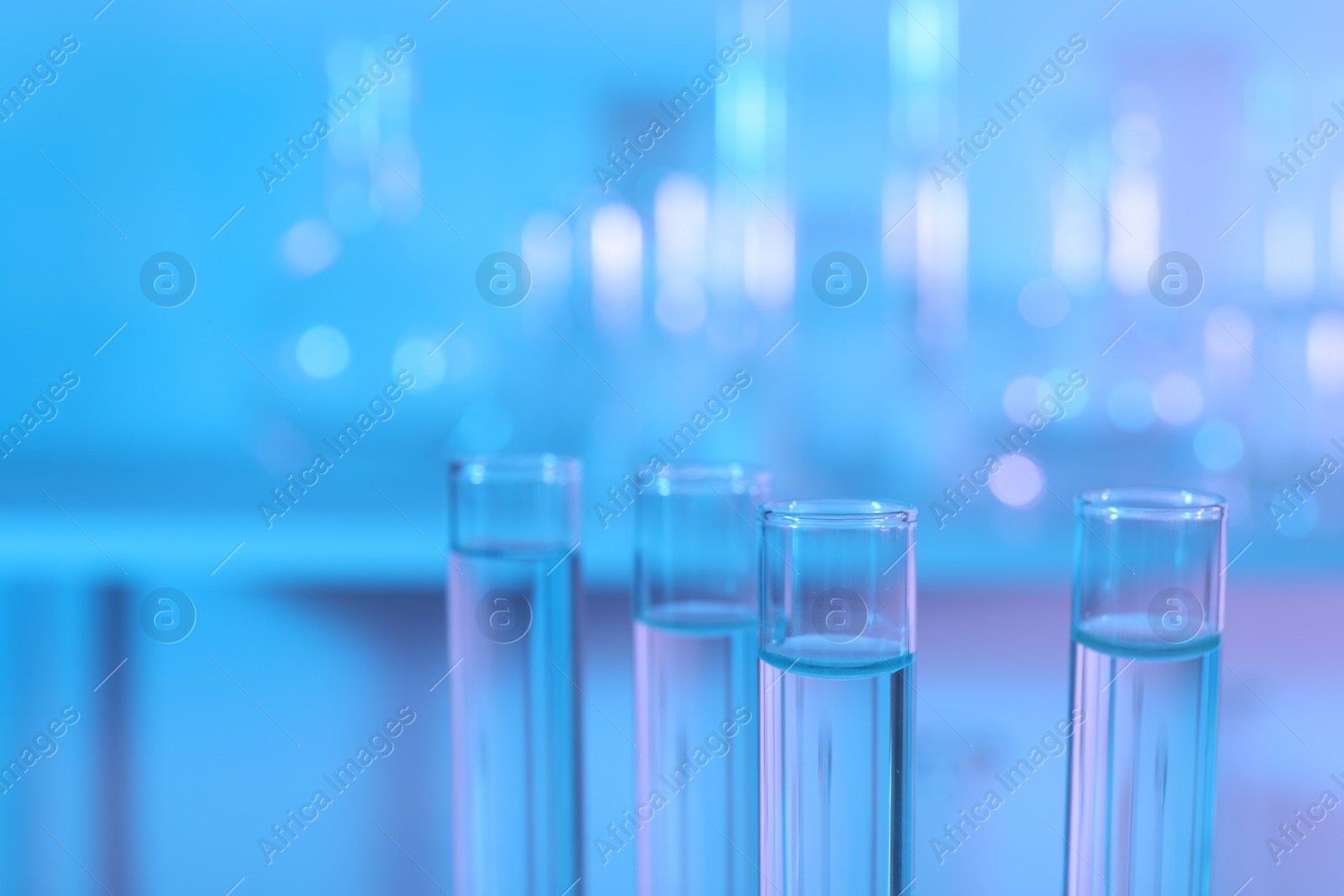 Photo of Many glass test tubes on light blue background, closeup