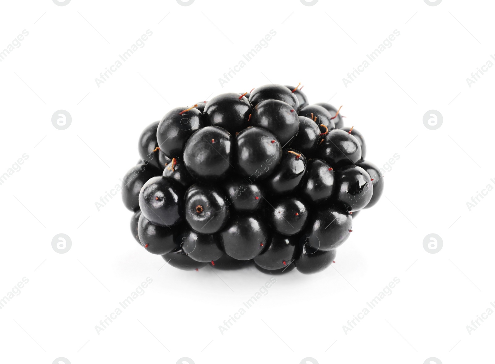 Photo of Beautiful tasty ripe blackberry on white background