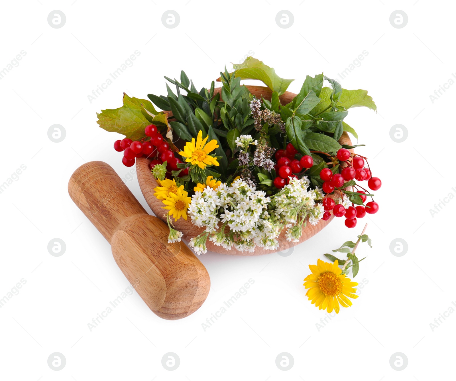 Photo of Wooden mortar, pestle, different flowers and berries on white background