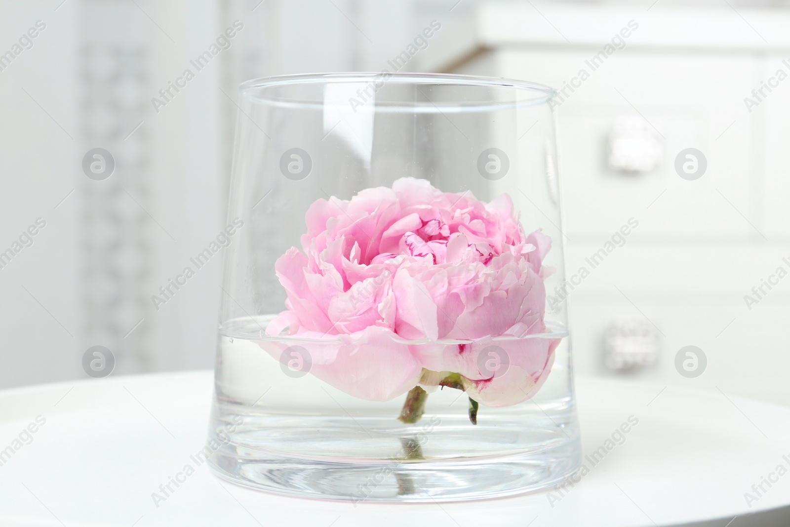 Photo of Beautiful pink peony bud in vase on white table