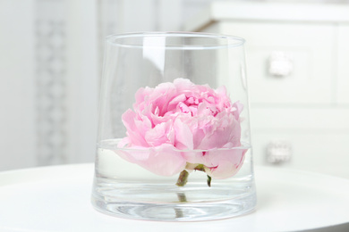 Photo of Beautiful pink peony bud in vase on white table