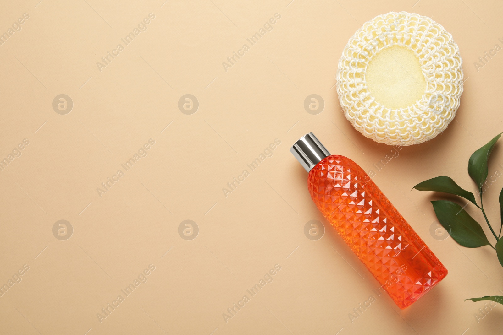 Photo of New sponge, shower gel and fresh leaves on beige background, flat lay. Space for text