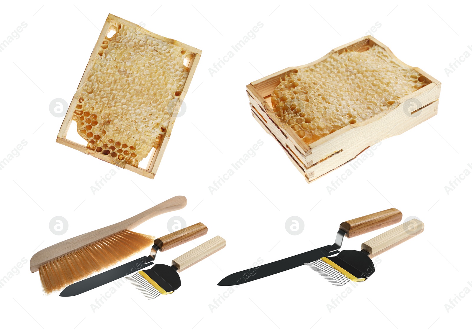 Image of Wooden hive frames with honeycombs and different beekeeping tools on white background, collage