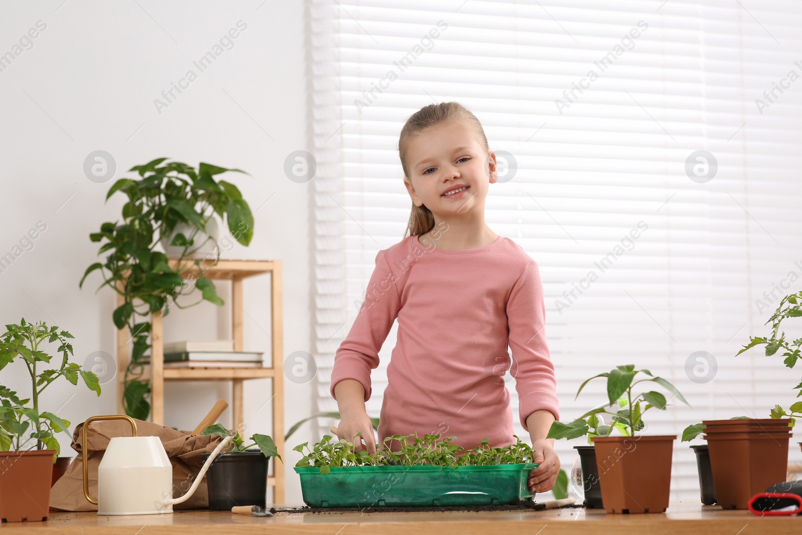 Photo of Cute little girl planting seedlings into plastic container at wooden table in room