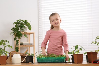 Photo of Cute little girl planting seedlings into plastic container at wooden table in room