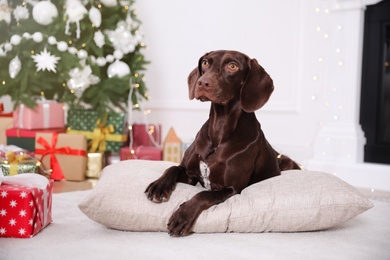 Photo of Cute dog on pillow in room decorated for Christmas
